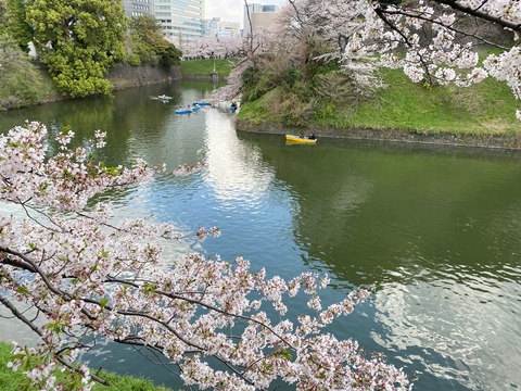 ACBEF98F-2D71-41AF-9E26-CFEA5185AEED