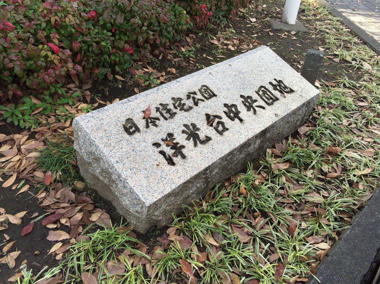 パスタイム 洋光台 コスパ 雰囲気抜群のお店でグルメバーガーをいただいた かなちゅうごはん パスタイム 洋光台 コスパ 雰囲気抜群のお店でグルメバーガーをいただいた かなちゅうごはん