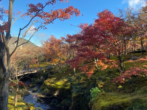 E0C7DA51-57AF-49BF-9E67-E2FE2E78B4C5