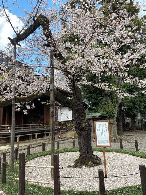 5522378F-ACD8-4A1A-8688-D8FBBAC550EF