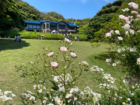 4FD35573-EA18-4FF4-88A6-E39210D5ADB4