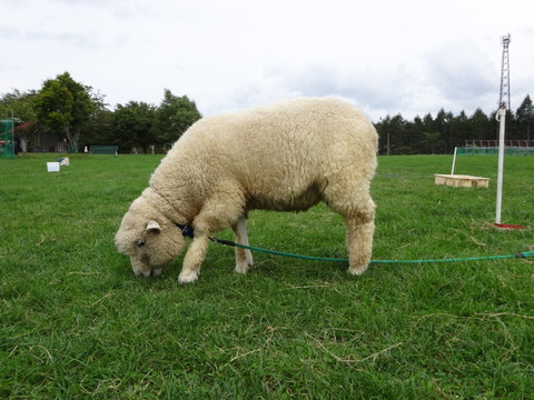 7B44A5FA-CC90-4DAD-A576-C91E359CB388