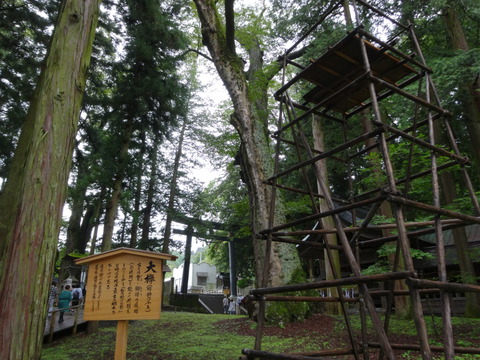 ABE1B661-E8FA-4449-85E0-C07B420951E1