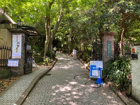 B3D3FB43-74B7-45F5-B1BC-E6AD97353784