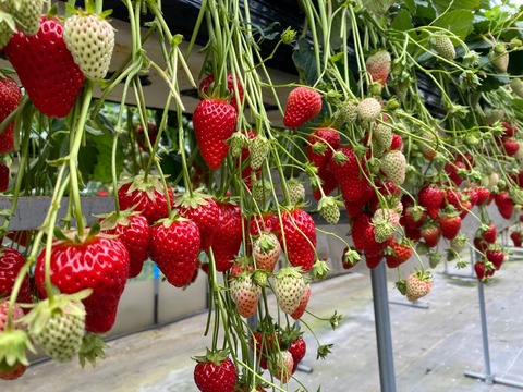 111BA50B-B99C-4E21-B2CE-39B77DF29940