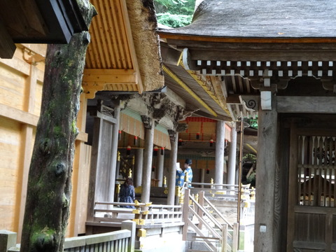 94D1369F-56D6-453C-8690-32FA4AAC94C1