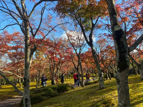 E8786A56-F16F-45CE-B73B-F9D0F18E8EFE