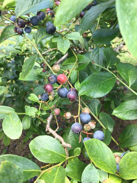 577BBFAD-E8C5-4FD7-A9AA-FC0C7D11B6C6