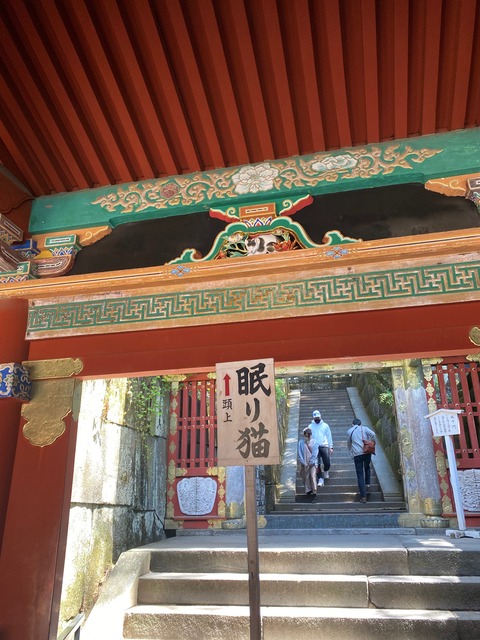 A1377ECC-1705-4CAB-942F-67D2489BB086