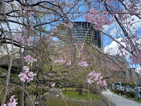 FF774E85-4DB5-441E-9C09-069C07FD05CA