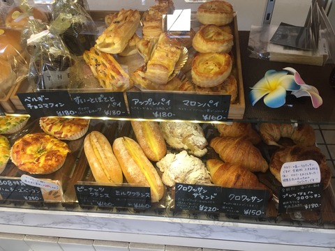 779C9016-1954-474D-941F-54E36919DA6C