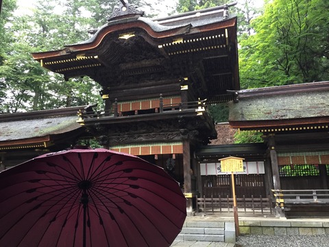 C83332F4-F4F2-4561-876F-E3DD930E80F1