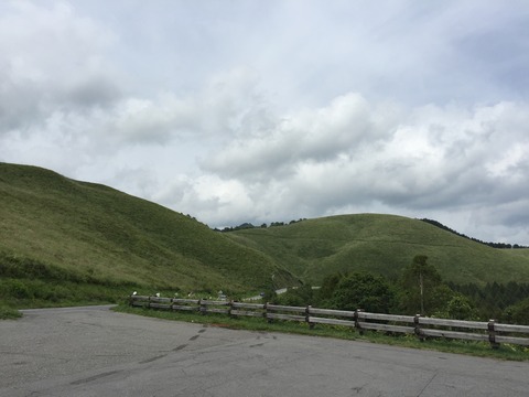 ED8F7E03-321F-4AB4-A04F-5B12080F7760