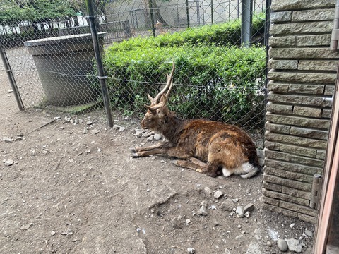 C67CF566-94DF-436E-B3E4-6139BC59F2D4