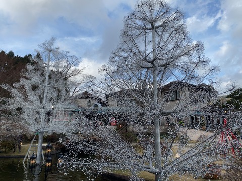 08F030FC-BD97-4287-AEAA-A988E566C004