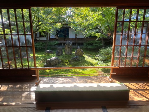 E19B0CCA-3BB2-4CDE-AD66-3DC30CD39DE1