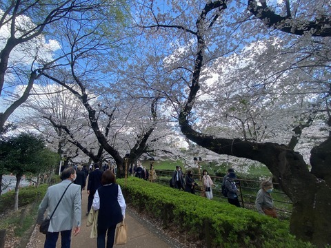 013C024A-2901-404C-B8D3-2103E831BA71