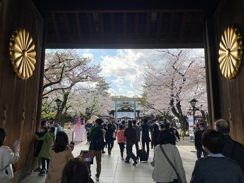 8AF90AC8-F3FE-46B7-BE92-808E4F2C6EF3