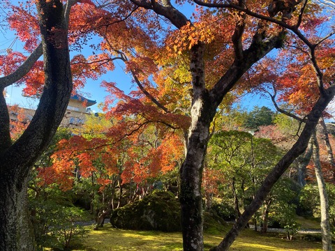 405EEF53-1A8B-4DB4-A6A0-B90722DADD8C