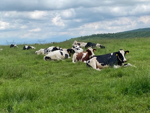 AA7200A3-52AA-46DF-BA3E-28F7714F997F