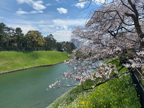 5CBF46F4-A0C4-4BAC-92DE-4FF355D17CB1