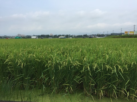 8A3C2610-2665-4F27-8FC7-2C39F22C1C93