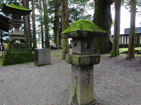 B91C8BC7-A5D4-4FE3-89EE-499886FF1D91