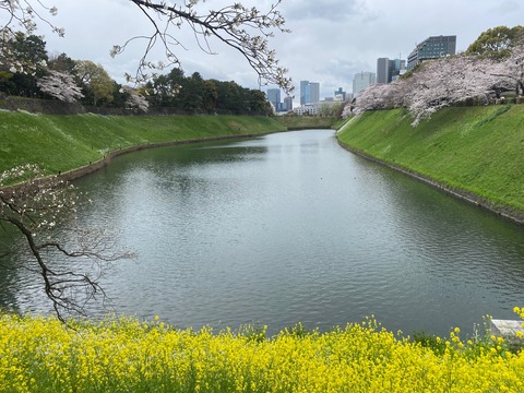 ABEEEB8F-9A76-4AB9-868D-9F0C2E13D716