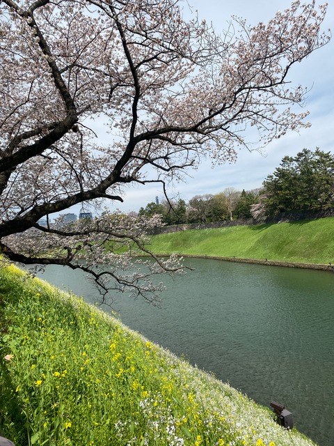 A0F4F612-F100-462B-BC51-E05D4241B80B