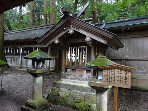 BFDAD49A-423E-44AA-894E-CB9A7EFC68BE