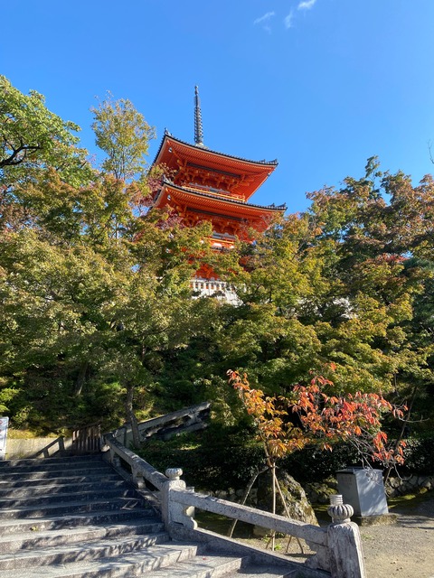 6994F860-18E1-4223-9F86-B2422E397AC2