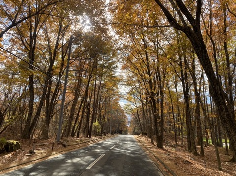 CD2A4090-62F1-4C40-9EA4-48E8A1C2BB4A