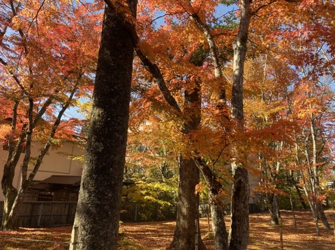 0420DE7E-188B-4BEC-BE3A-CC295E71C17B