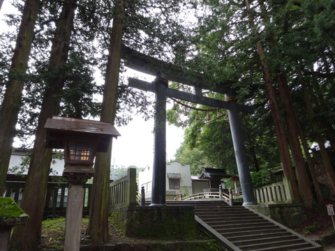 BBD54D94-4685-44D4-805D-F72C0362C07D