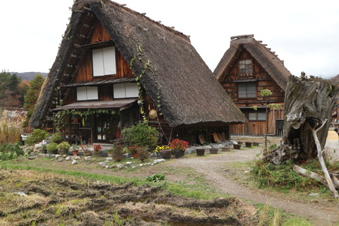 99D76B79-22BB-48BE-8B00-FA5C190FB0A0