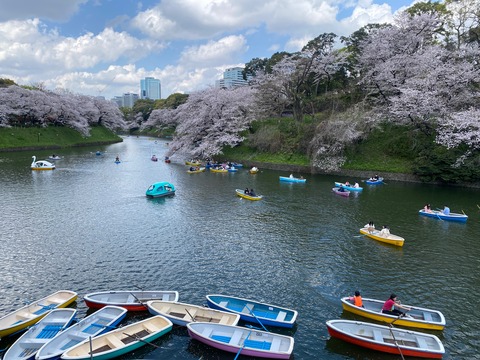 B8DBDCB4-F77C-4DB3-8566-9DD7F891EC19