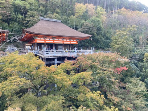 E713CAF9-664C-49D5-B43F-A8EF91B510B8