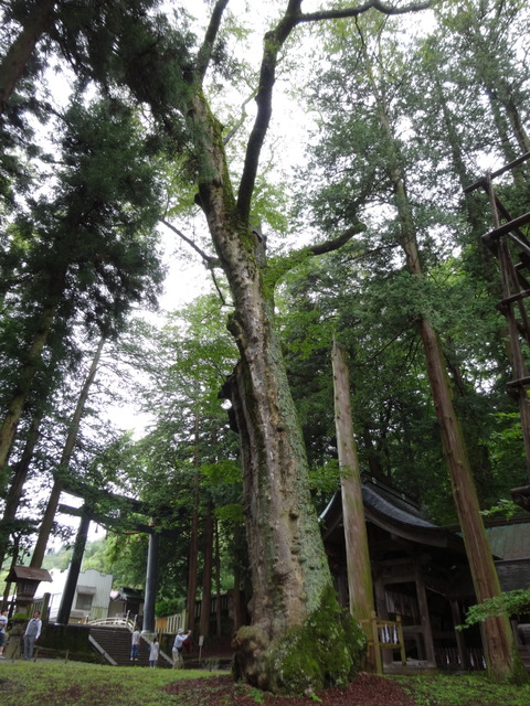 FB01940D-CC6D-4D6B-859E-1F77B00ED455