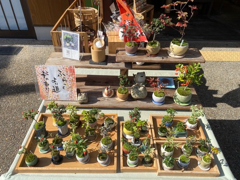 E92A348C-6EF8-47BE-A70F-F504D69BDC9F