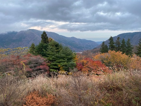 10455DB2-13D5-4040-B9DA-E662345C58E6