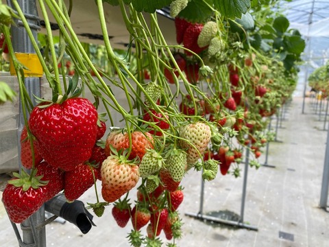 47A5D8F9-0C4E-4ECF-8629-6C4116B96386