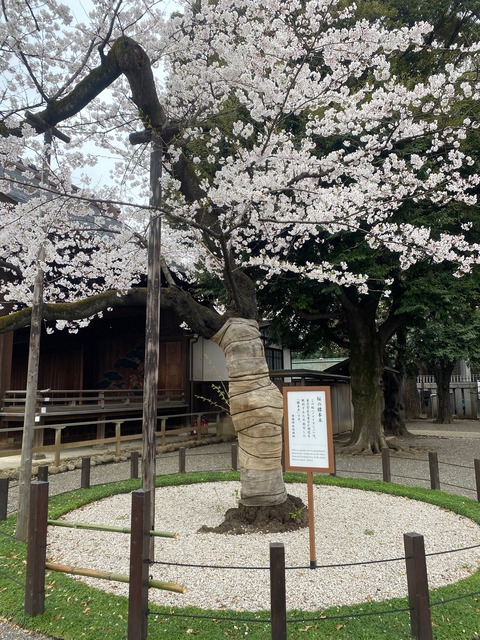 857B7105-3397-4D17-91A7-B0348E85EF4D