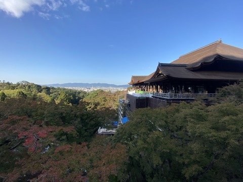 01F8543F-4CAC-431F-B44E-992345948C74