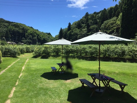 DE58DDE1-C331-4893-BD06-813F9F283158