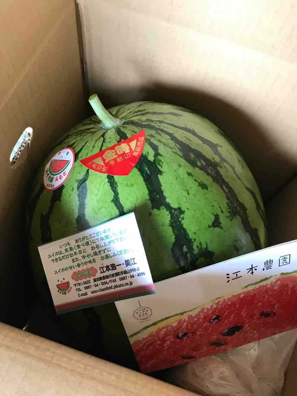 オンエア直後から 大玉スイカのご購入 お問い合わせ ありがとうございます 夜須 スイカ屋の女房blog 高知家の はちきん やきねえ