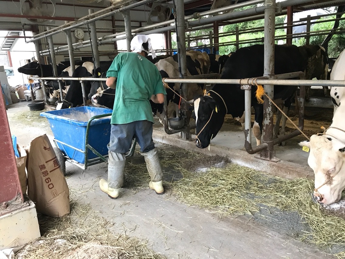 江渕牧場はお母さんの実家 辰ちゃん 結衣ちゃんも 私たちの いとこ なんです 夜須 スイカ屋の女房blog 高知家の はちきん やきねえ