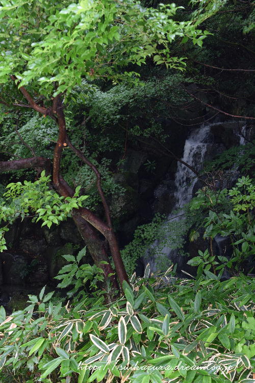 滝