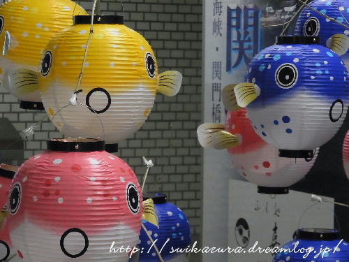 ふくちょうちん６