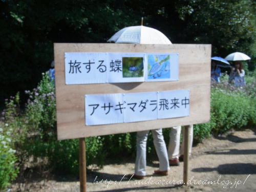 警告2