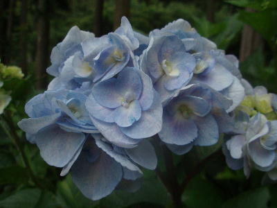 273b2269.jpg